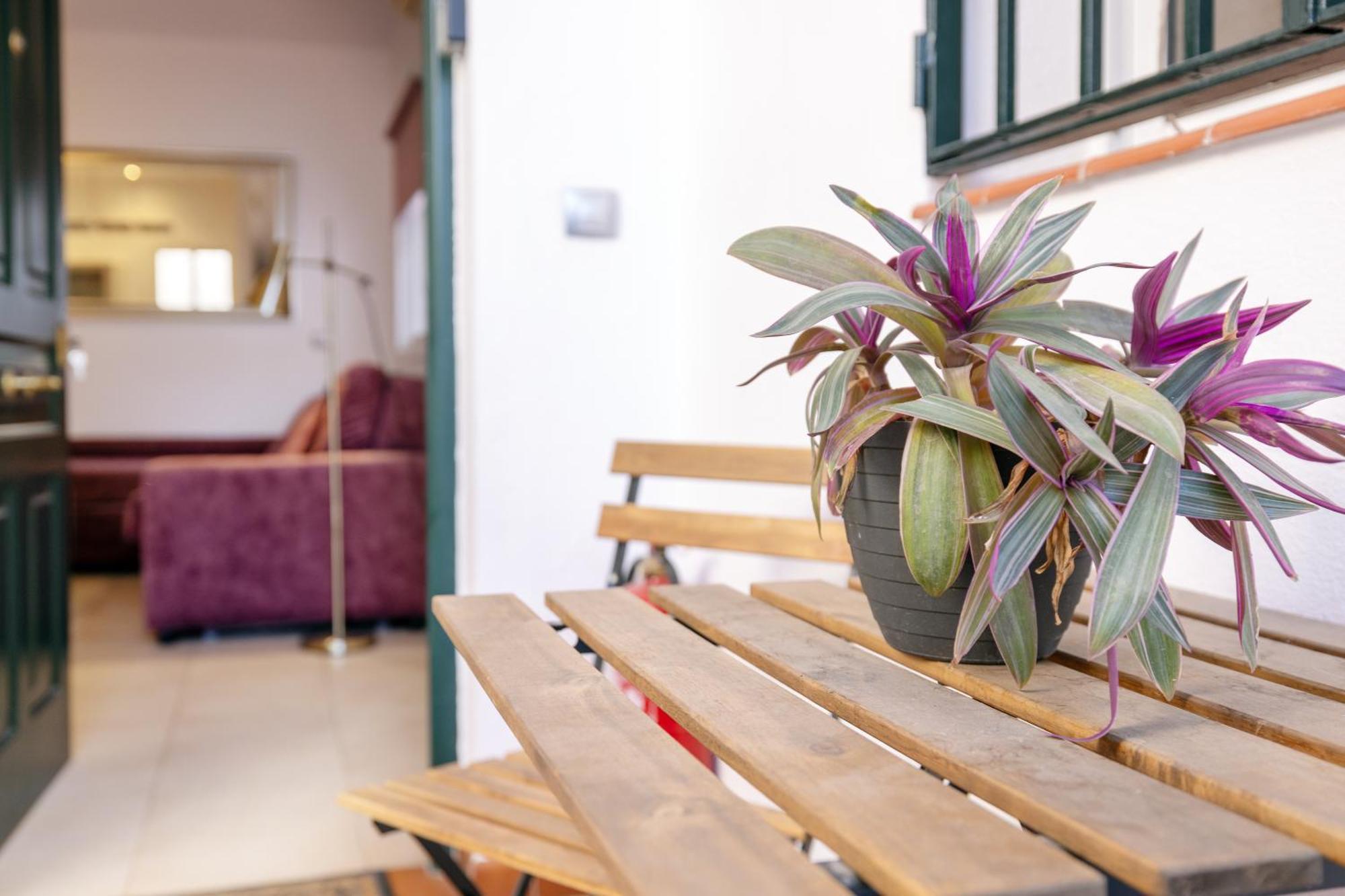 Apartamentos Trianasol เซบีญา ภายนอก รูปภาพ